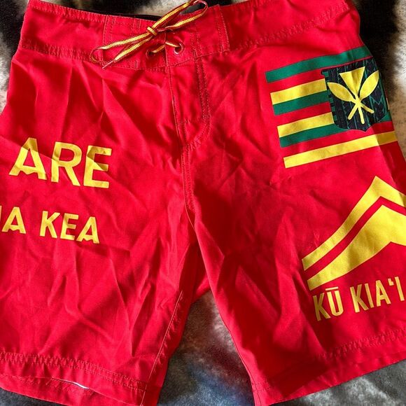 115A. Wailoa We Are Mauna Kea Kū Kia’i Mauna Kids Surf shorts (10) - Picture 2 of 6